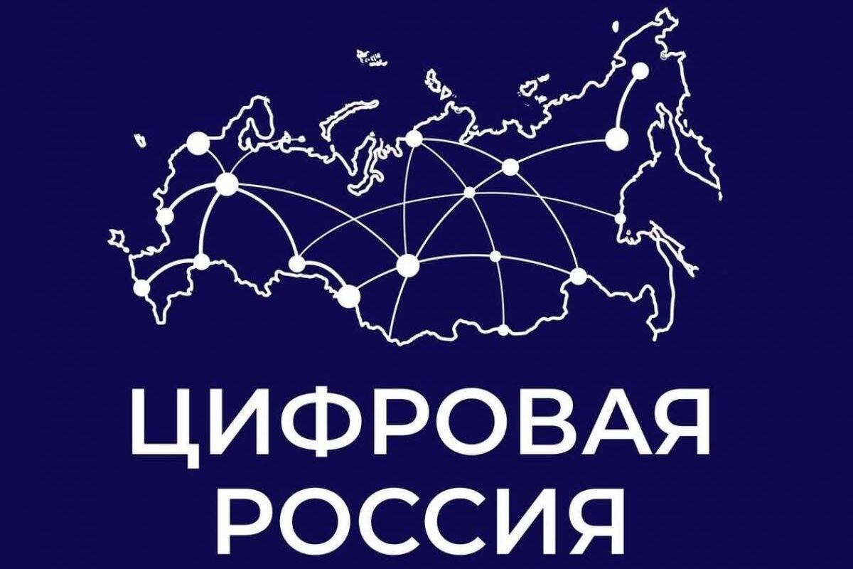 Гарвекс в IT